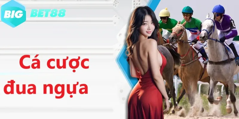 ca cuoc the thao dua ngua dang cap hang dau hien nay Cá cược thể thao đua ngựa đẳng cấp hàng đầu hiện nay