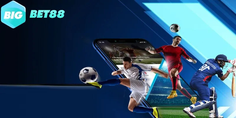 the thao bigbet88 tro thanh sanh game duoc danh gia cao Thể thao Bigbet88 trở thành sảnh game được đánh giá cao