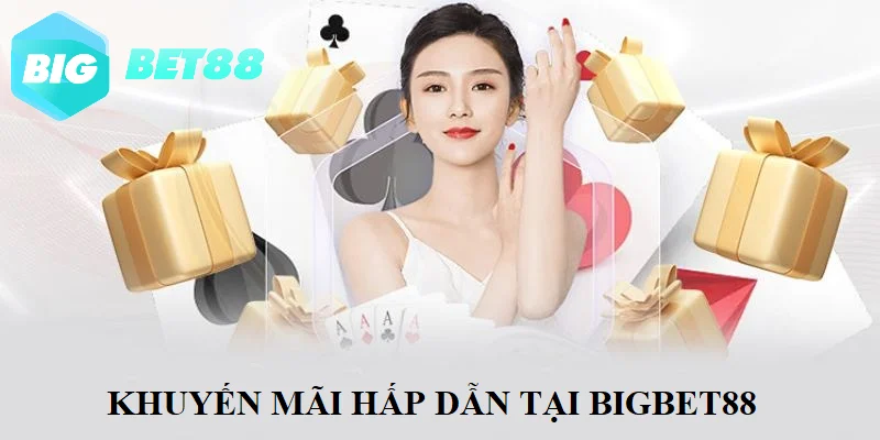 thuong hieu bigbet88 cap nhat uu dai khung lien tuc Thương hiệu Bigbet88 cập nhật ưu đãi khủng liên tục