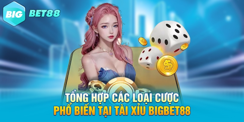 tong hop cac loai cuoc pho bien tai tai xiu bigbet88 Tổng hợp các loại cược phổ biến tại tài xỉu Bigbet88